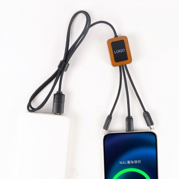 Eco USB cable GUYANA LONG SQUARE with light up logo